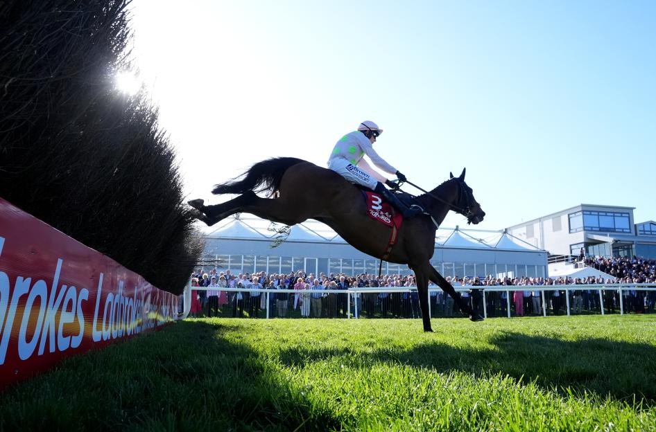 Gaelic Warrior Crushes Competition to Secure Stunning Gold Cup Double for Owner Rich Ricci!