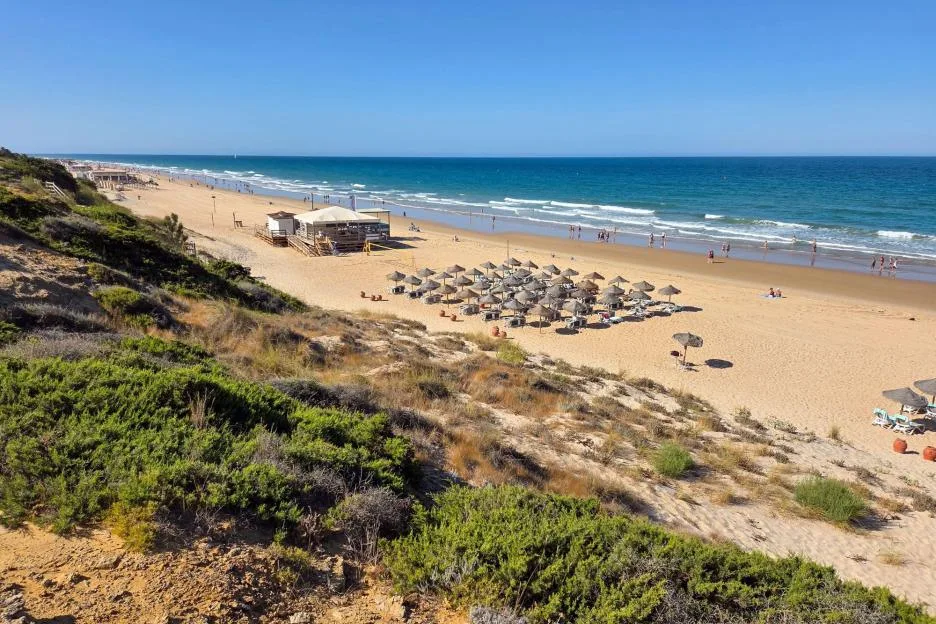 Woman found buried on Spanish holiday beach by horrified couple after being ‘beaten to death’ as murder cops investigate