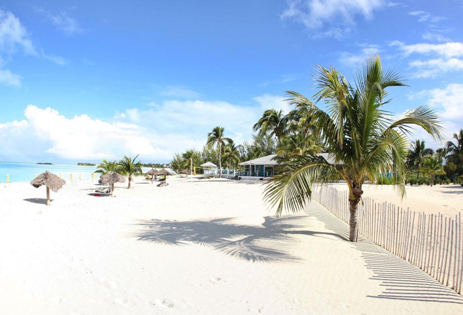 Palms on a white sand beach in Treasure Cay, Bahamas.