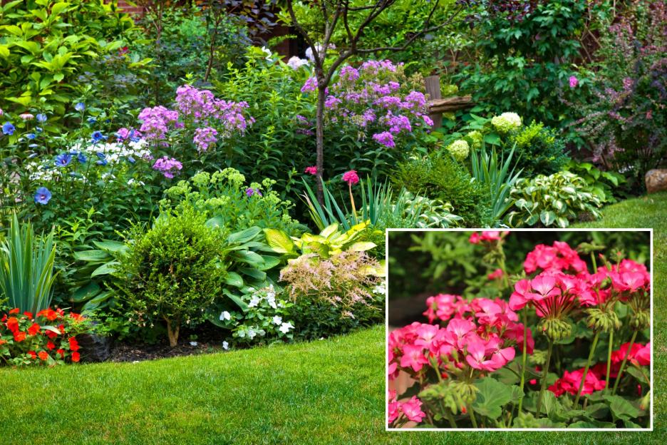 Gardeners Are Adding Stunning 'Natural Mosquito Repellent' Flowers to Their Yards—And They Smell Amazing!