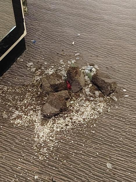 Debris on a hotel carpet, including large clumps of dirt and smaller white particles.