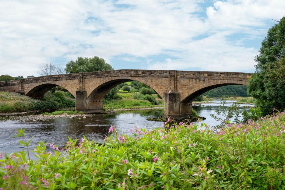 Ribchester Bridge over the River Ribble, with wildflowers in the foreground.