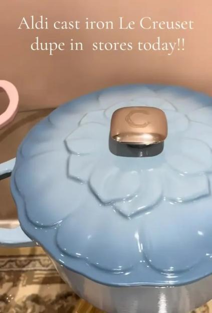 Aldi Unveils Pastel Pink & Blue Alternatives to Viral Le Creuset Dish for Just 19x Less—Shoppers Say 'Run, Don't Walk!'