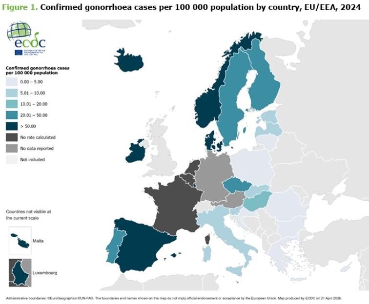 Map showing confirmed gonorrhea cases per 100,000 population by country in EU/EEA for 2024.